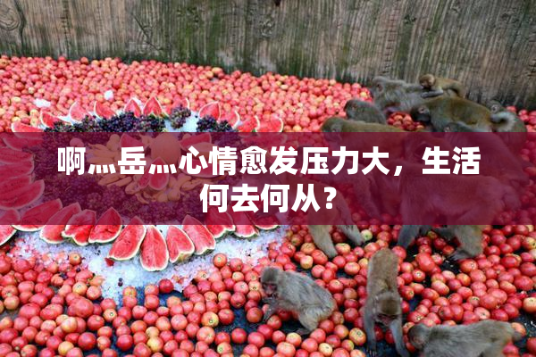 啊灬岳灬心情愈发压力大，生活何去何从？