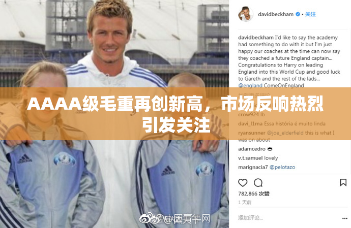 AAAA级毛重再创新高，市场反响热烈引发关注