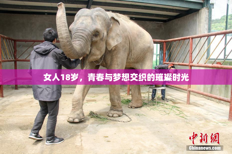 女人18岁，青春与梦想交织的璀璨时光