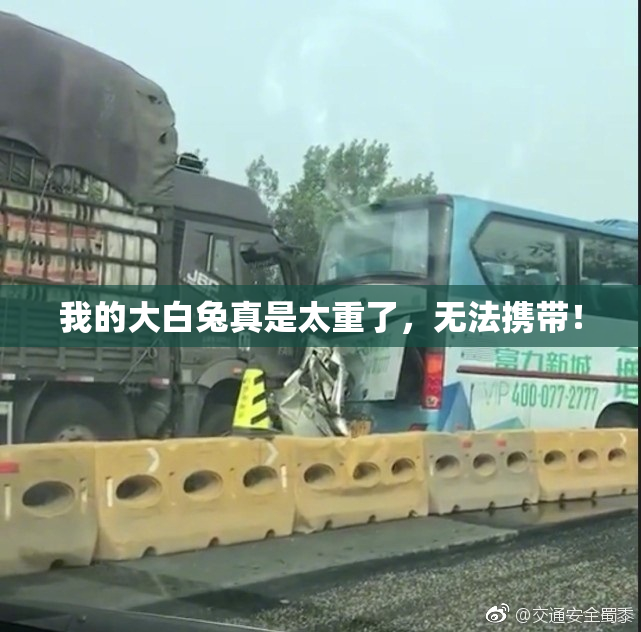 我的大白兔真是太重了，无法携带！