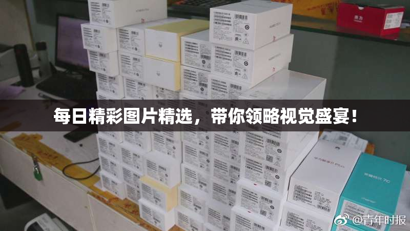 每日精彩图片精选，带你领略视觉盛宴！