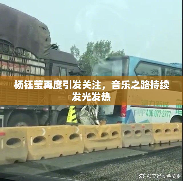 杨钰莹再度引发关注，音乐之路持续发光发热