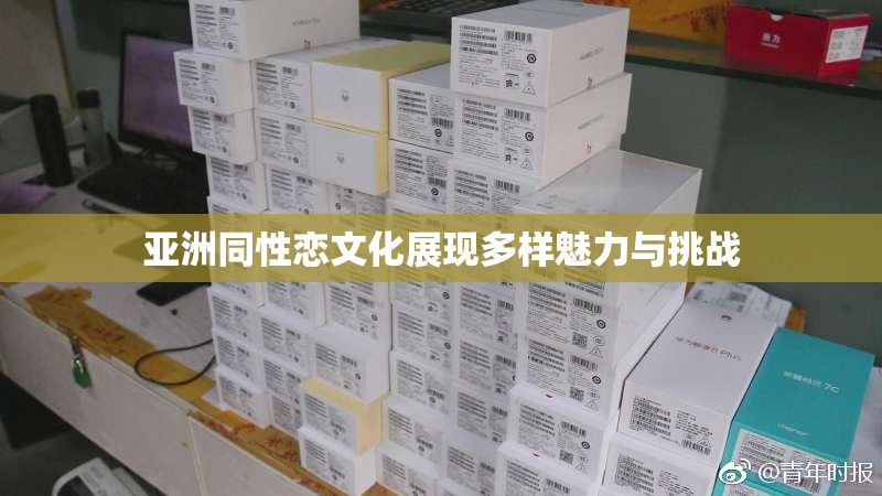 亚洲同性恋文化展现多样魅力与挑战