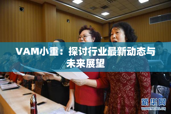 VAM小重：探讨行业最新动态与未来展望