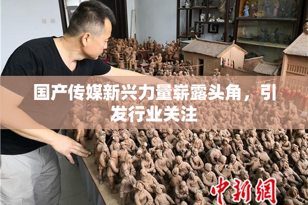 国产传媒新兴力量崭露头角，引发行业关注