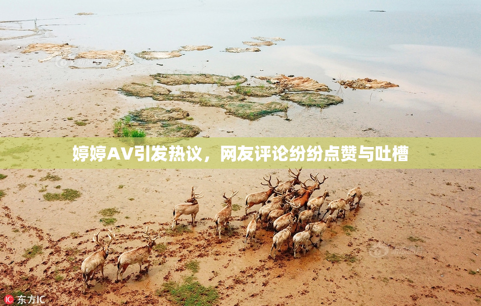婷婷AV引发热议，网友评论纷纷点赞与吐槽