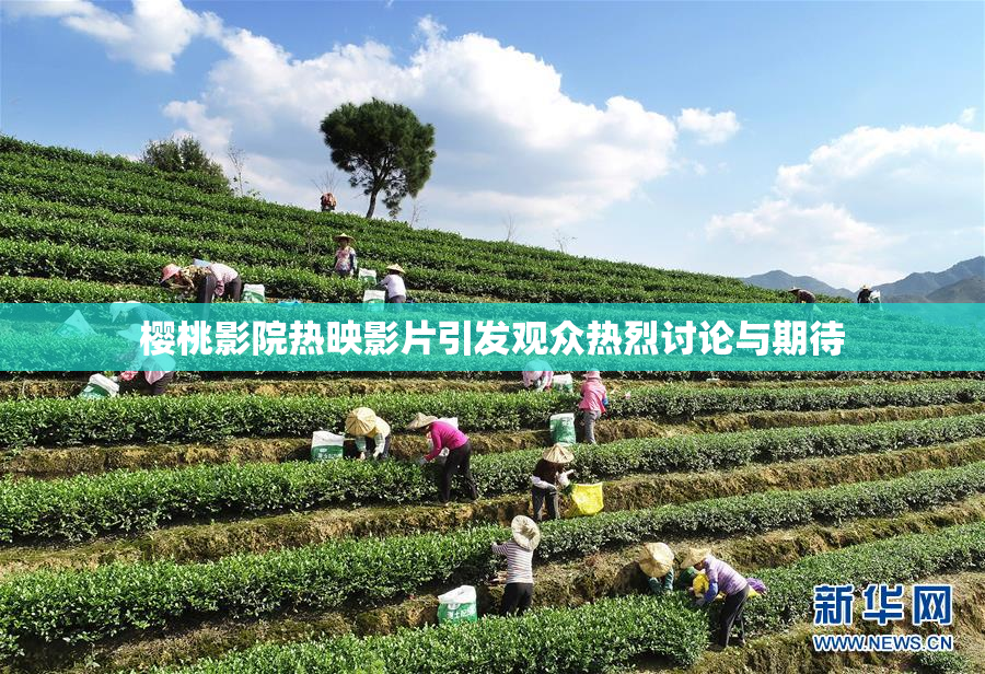 樱桃影院热映影片引发观众热烈讨论与期待
