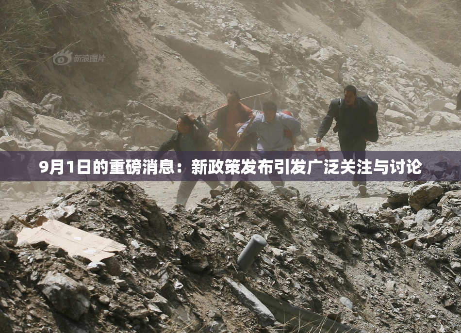 9月1日的重磅消息：新政策发布引发广泛关注与讨论