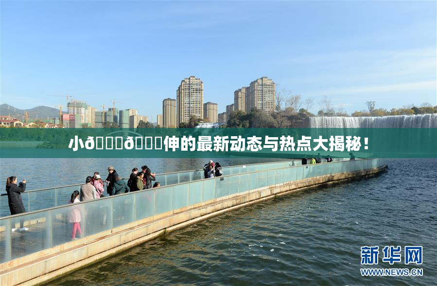小🐔🐔伸的最新动态与热点大揭秘！