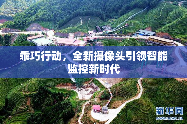 乖巧行动，全新摄像头引领智能监控新时代
