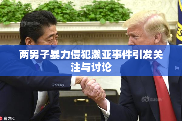 两男子暴力侵犯濑亚事件引发关注与讨论