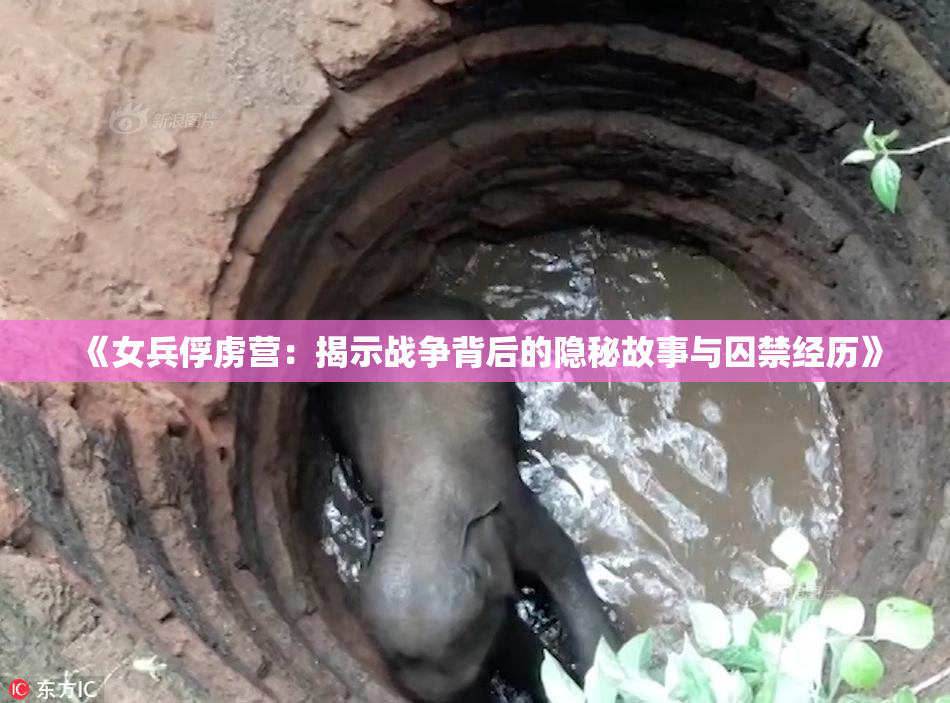 《女兵俘虏营：揭示战争背后的隐秘故事与囚禁经历》