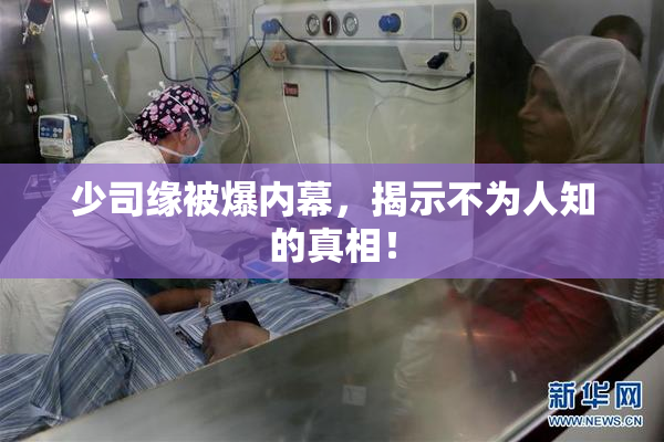 少司缘被爆内幕，揭示不为人知的真相！