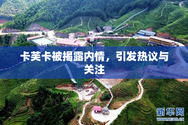 卡芙卡被揭露内情，引发热议与关注