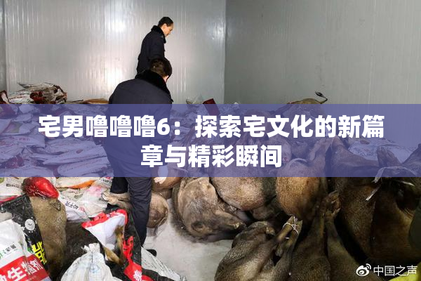 宅男噜噜噜6：探索宅文化的新篇章与精彩瞬间
