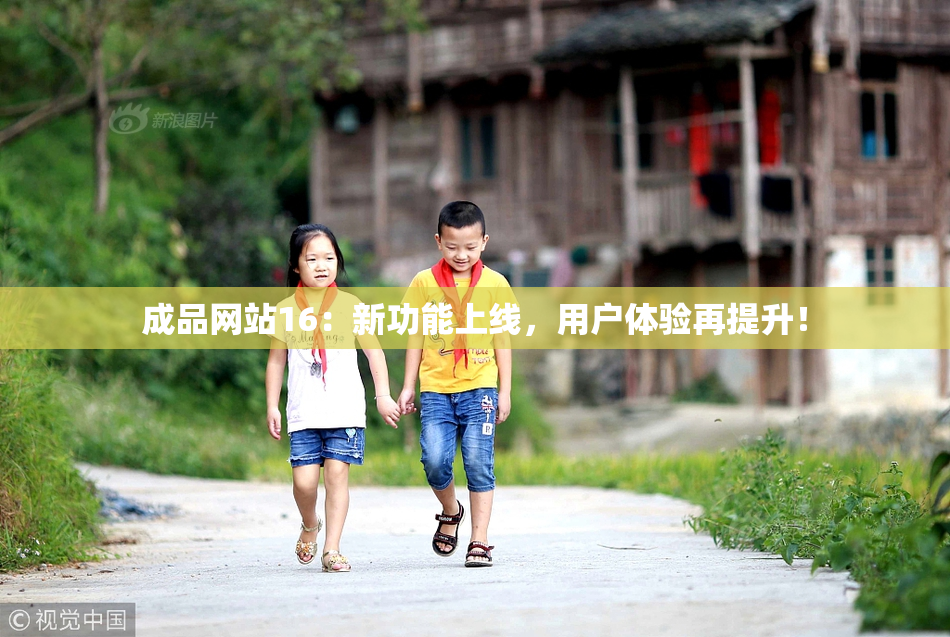 成品网站16：新功能上线，用户体验再提升！