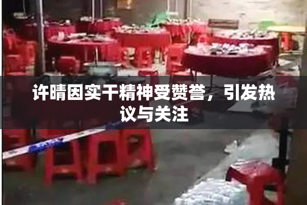 许晴因实干精神受赞誉，引发热议与关注