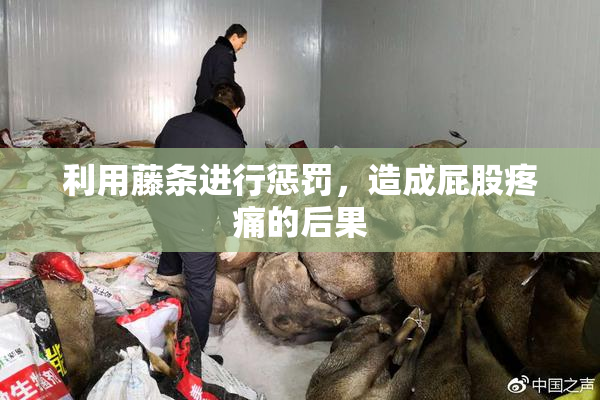 利用藤条进行惩罚，造成屁股疼痛的后果