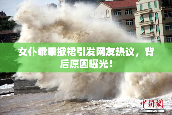 女仆乖乖掀裙引发网友热议，背后原因曝光！