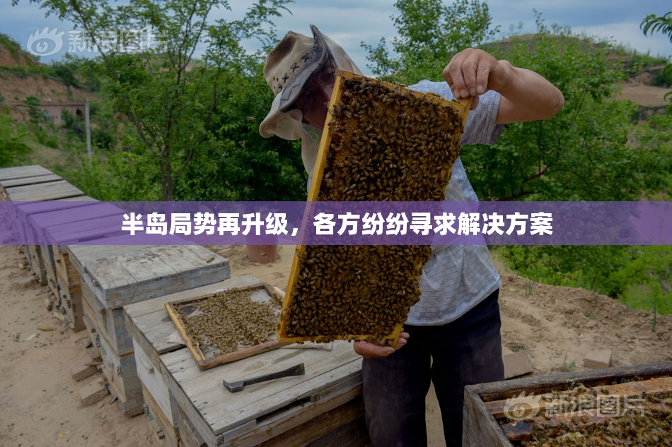半岛局势再升级，各方纷纷寻求解决方案