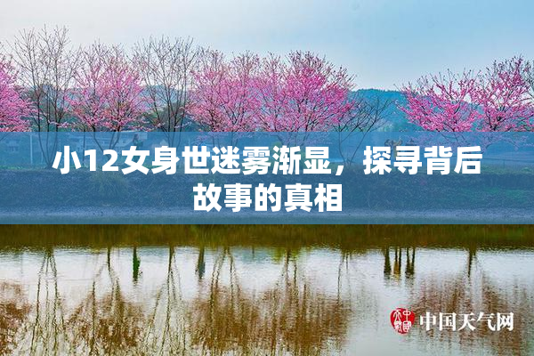 小12女身世迷雾渐显，探寻背后故事的真相