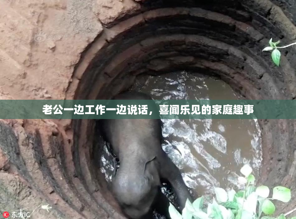 老公一边工作一边说话，喜闻乐见的家庭趣事
