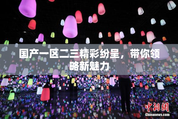 国产一区二三精彩纷呈，带你领略新魅力
