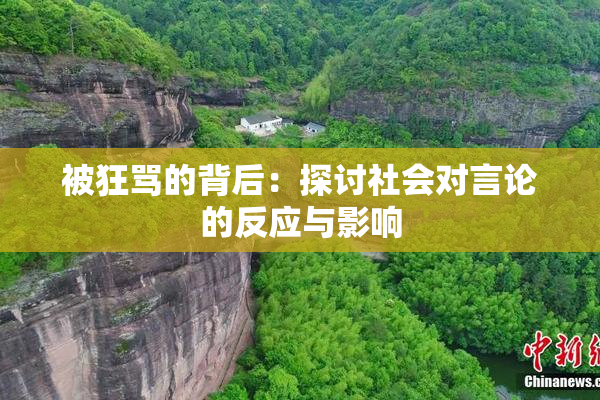 被狂骂的背后：探讨社会对言论的反应与影响