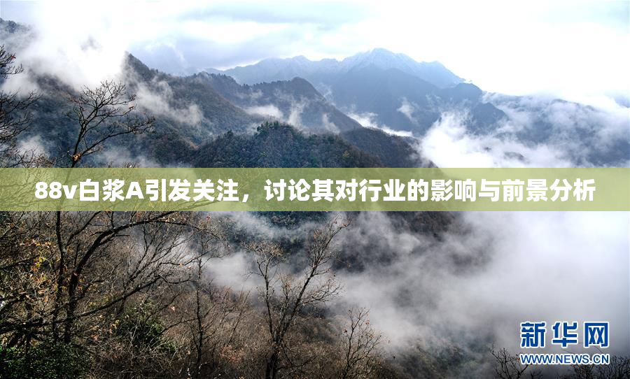 88v白浆A引发关注，讨论其对行业的影响与前景分析
