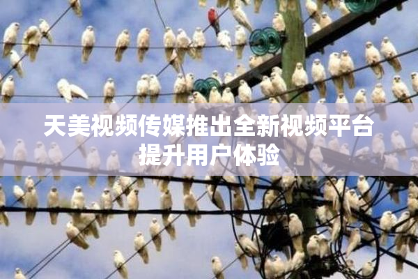 天美视频传媒推出全新视频平台提升用户体验