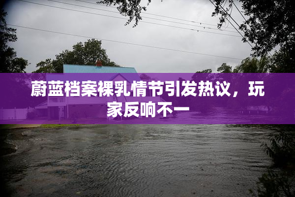 蔚蓝档案裸乳情节引发热议，玩家反响不一