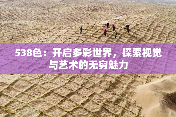 538色：开启多彩世界，探索视觉与艺术的无穷魅力