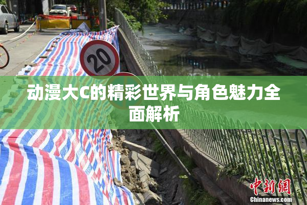 动漫大C的精彩世界与角色魅力全面解析