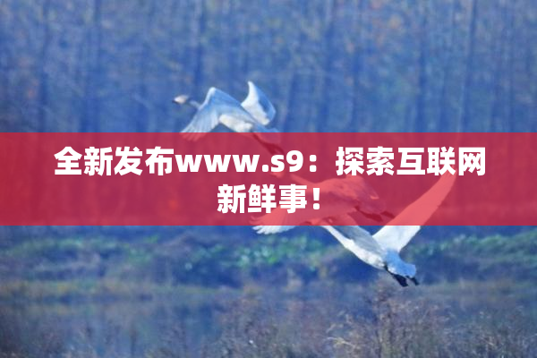 全新发布www.s9：探索互联网新鲜事！