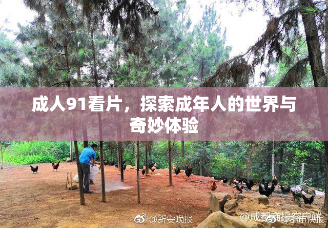 成人91看片，探索成年人的世界与奇妙体验