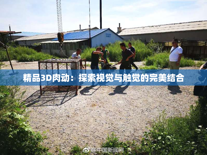 精品3D肉动：探索视觉与触觉的完美结合