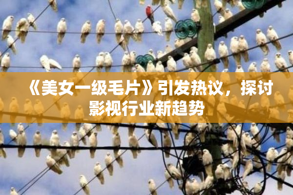 《美女一级毛片》引发热议，探讨影视行业新趋势