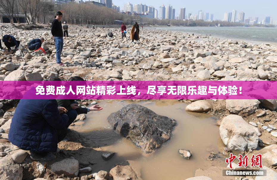 免费成人网站精彩上线，尽享无限乐趣与体验！