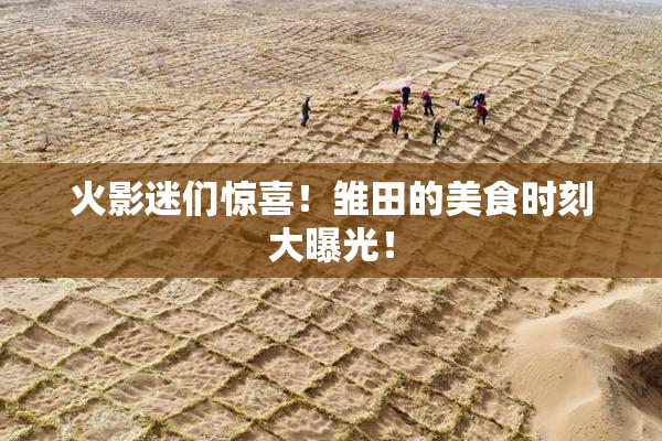 火影迷们惊喜！雏田的美食时刻大曝光！
