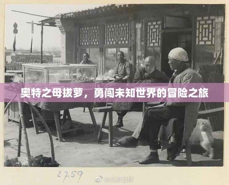 奥特之母拔萝，勇闯未知世界的冒险之旅