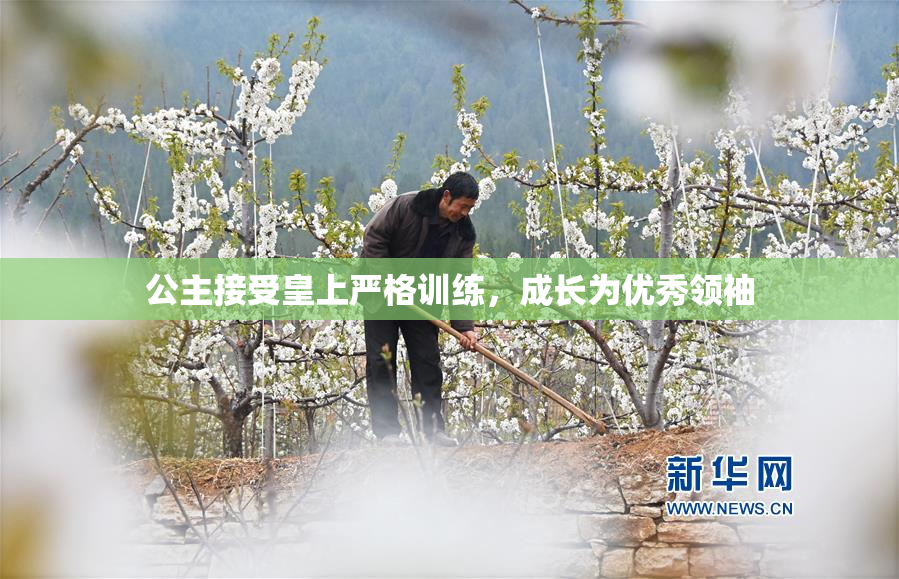 公主接受皇上严格训练，成长为优秀领袖