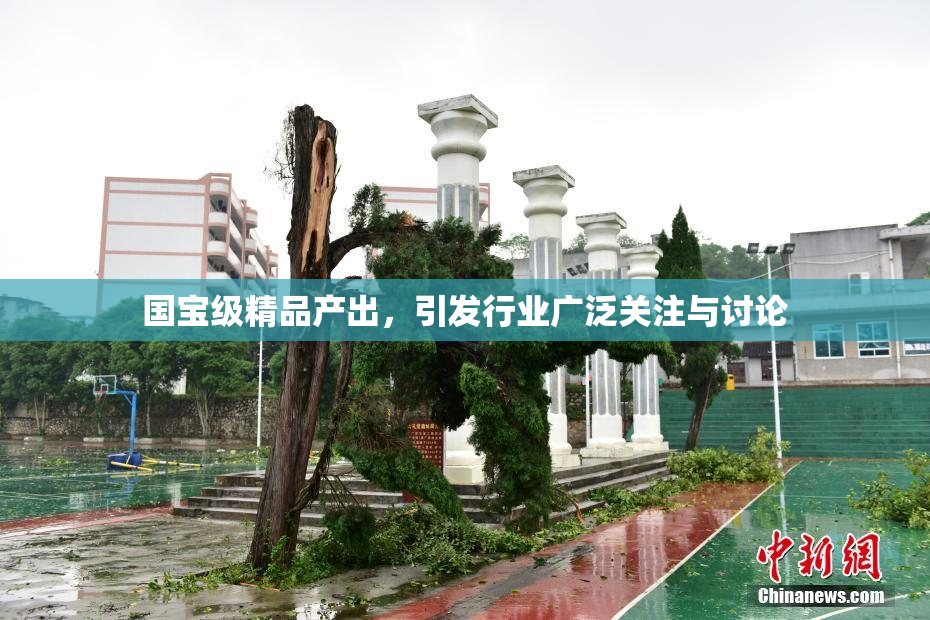 国宝级精品产出，引发行业广泛关注与讨论
