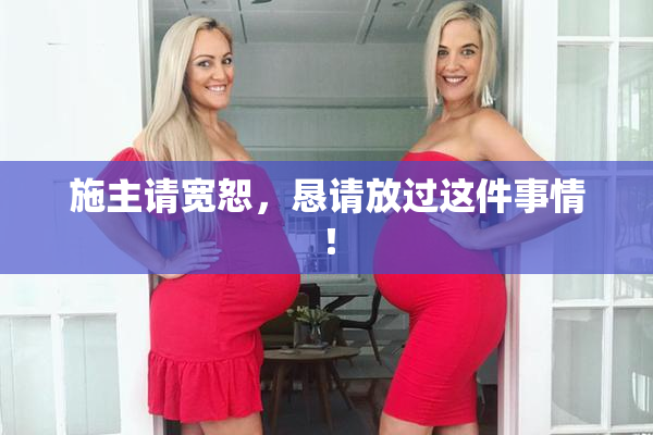 施主请宽恕，恳请放过这件事情！