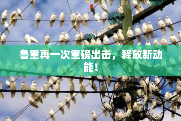 鲁重再一次重磅出击，释放新动能！