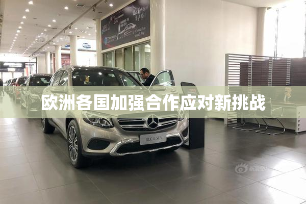 欧洲各国加强合作应对新挑战