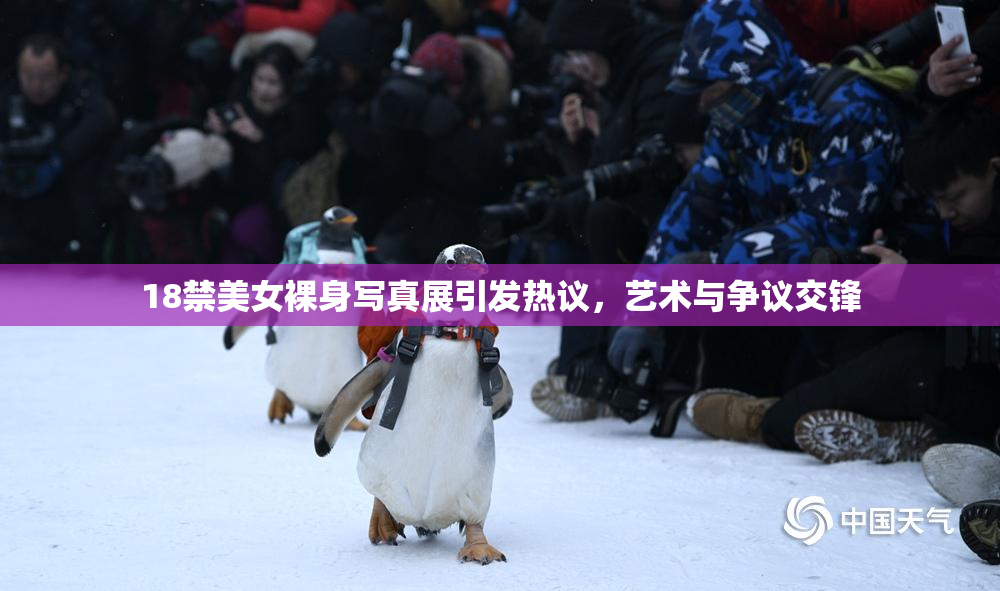 18禁美女裸身写真展引发热议，艺术与争议交锋