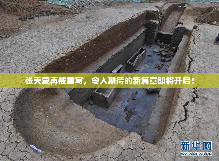 张天爱再被重写，令人期待的新篇章即将开启！
