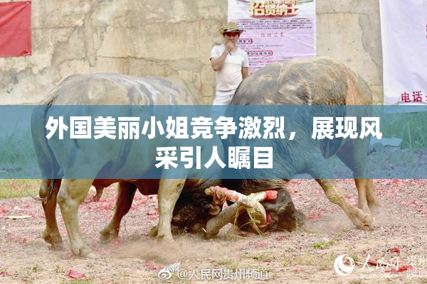 外国美丽小姐竞争激烈，展现风采引人瞩目