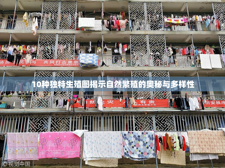 10种独特生殖图揭示自然繁殖的奥秘与多样性