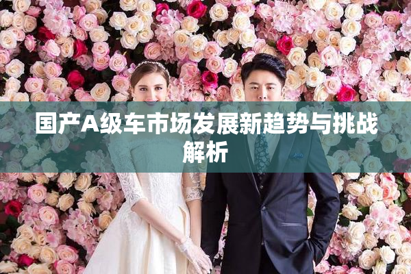 国产A级车市场发展新趋势与挑战解析